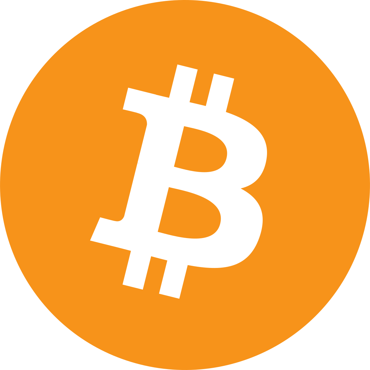 Bitcoin BTC cryptocurrency logo
